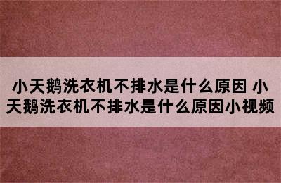 小天鹅洗衣机不排水是什么原因 小天鹅洗衣机不排水是什么原因小视频